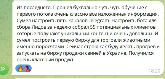 Бот для сбора заявок и пять Telegram-каналов после первых уроков.